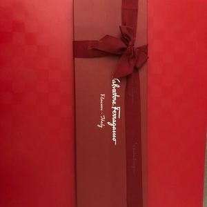 BRAND NEW Ferragamo Tie